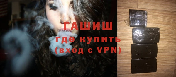 гидра Ельня