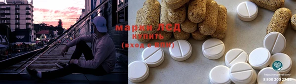 ПСИЛОЦИБИНОВЫЕ ГРИБЫ Елизово
