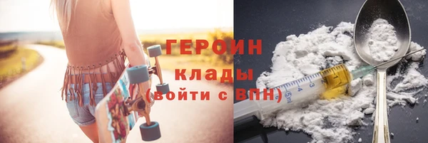 гидра Ельня