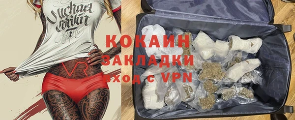 ПСИЛОЦИБИНОВЫЕ ГРИБЫ Елизово