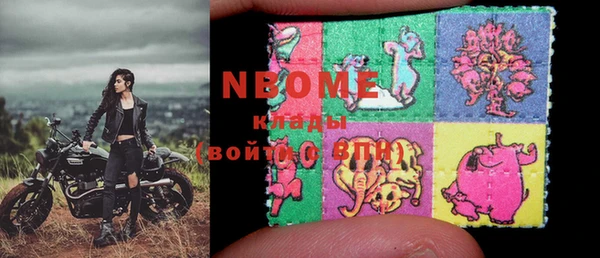 гидра Ельня