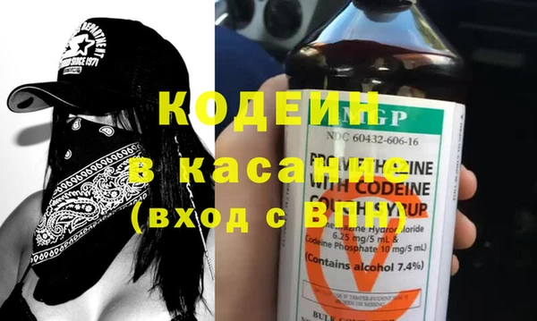 гидра Ельня