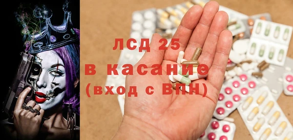 гидра Ельня