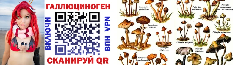 Галлюциногенные грибы мухоморы  это формула  Бердск 