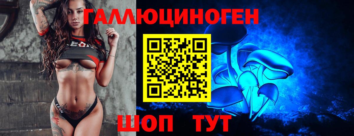 Галлюциногенные грибы мухоморы  Псилоцибиновые грибы Psilocybine cubensis  Бердск 