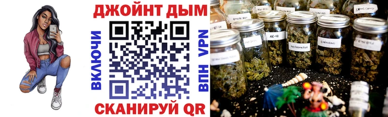 продажа наркотиков  кракен как войти  МАРИХУАНА план  Бердск 